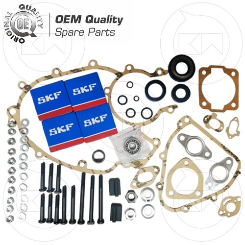 Kit revisione motore piaggio - motore,