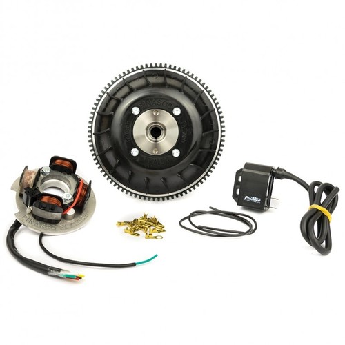Pinasco accensione flytech - pinasco,